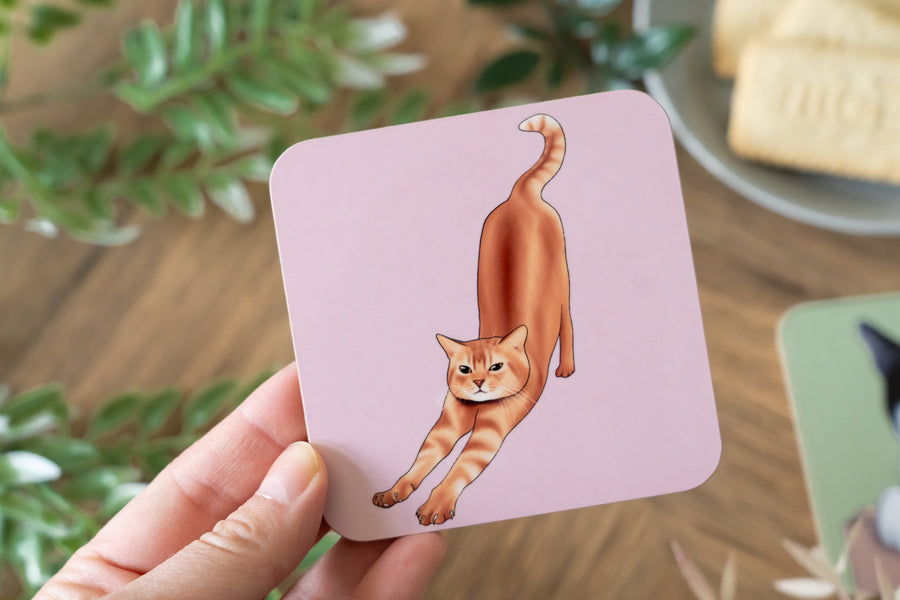 Cats Doing Things Coaster Set