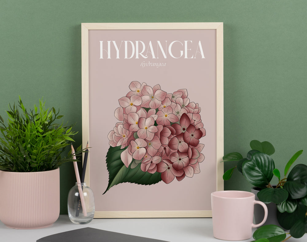 Hydrangea Illustrated Floral Art Print