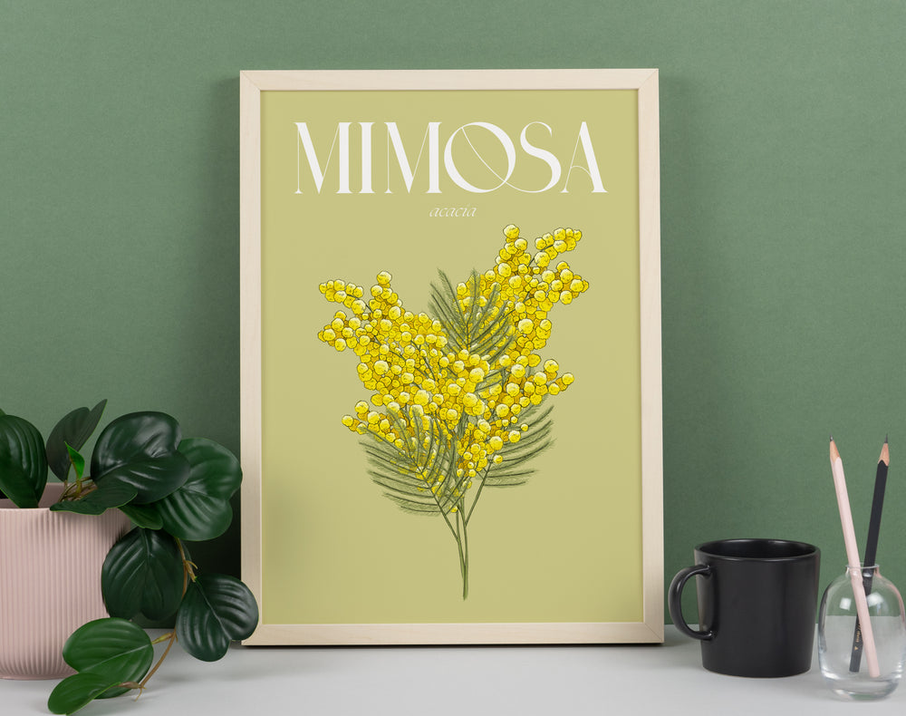 Mimosa Illustrated Floral Art Print