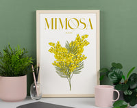 Mimosa Illustrated Floral Art Print
