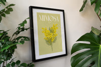 Mimosa Illustrated Floral Art Print
