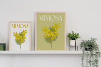 Mimosa Illustrated Floral Art Print