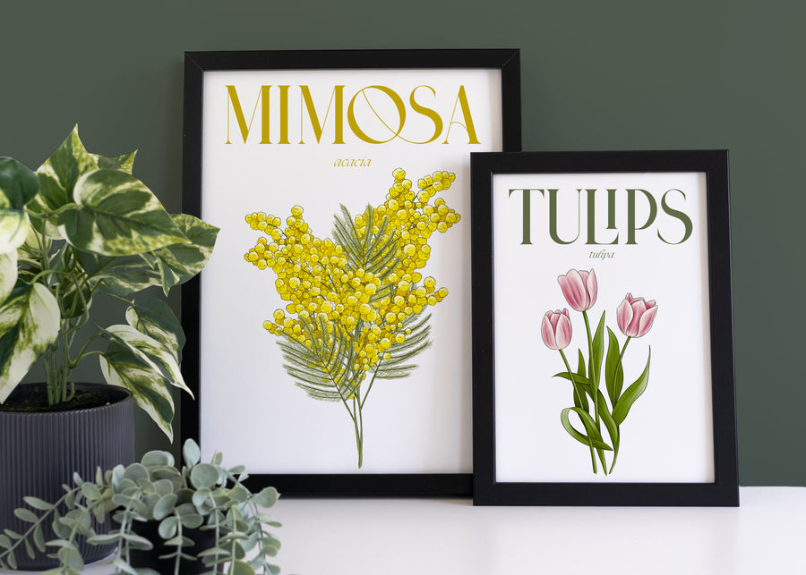 Mimosa Illustrated Floral Art Print