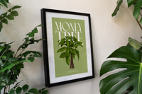 Money Tree Houseplant Art Print