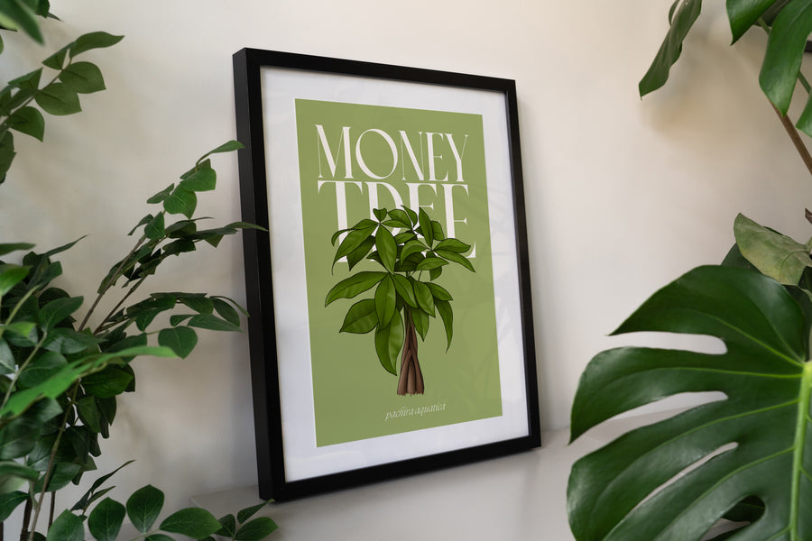 Money Tree Houseplant Art Print