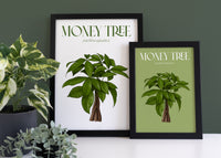 Money Tree Houseplant Art Print