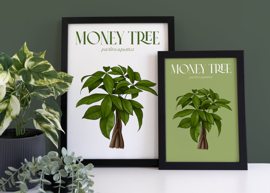 Money Tree Houseplant Art Print