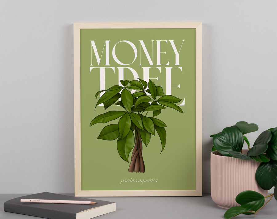 Money Tree Houseplant Art Print