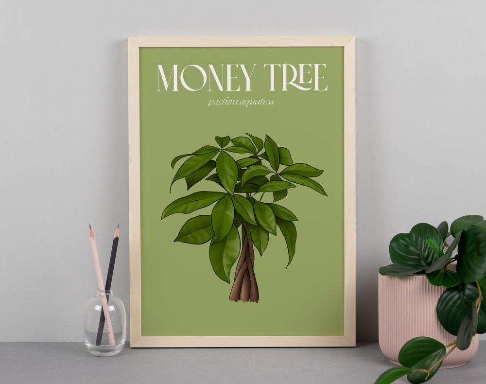 Money Tree Houseplant Art Print