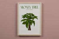 Money Tree Houseplant Art Print