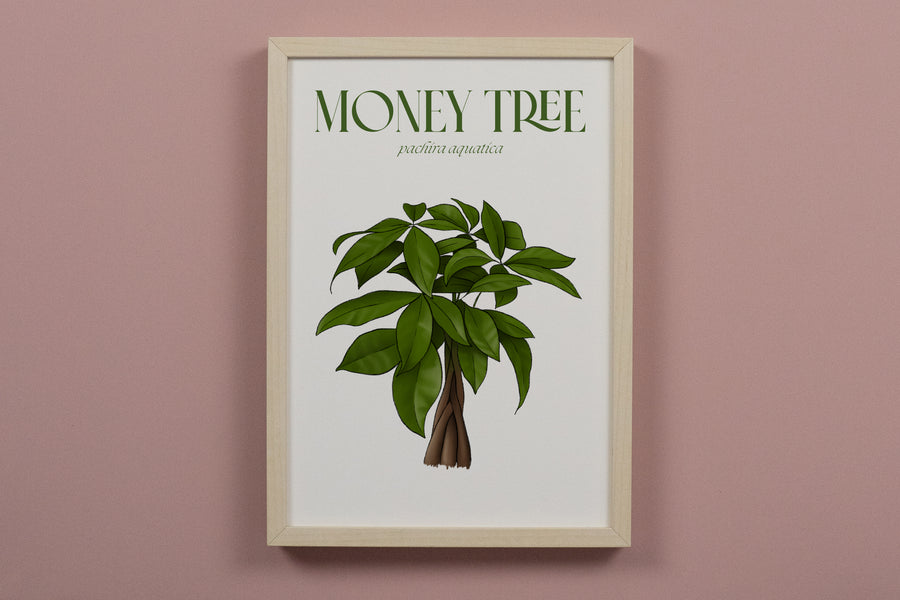 Money Tree Houseplant Art Print