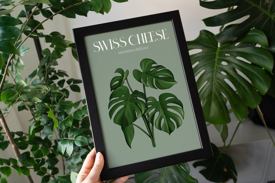 Swiss Cheese Houseplant Art Print