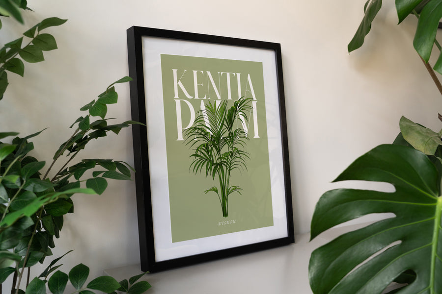 Kentia Palm Houseplant Art Print