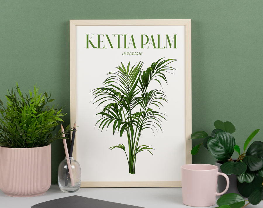 Kentia Palm Houseplant Art Print