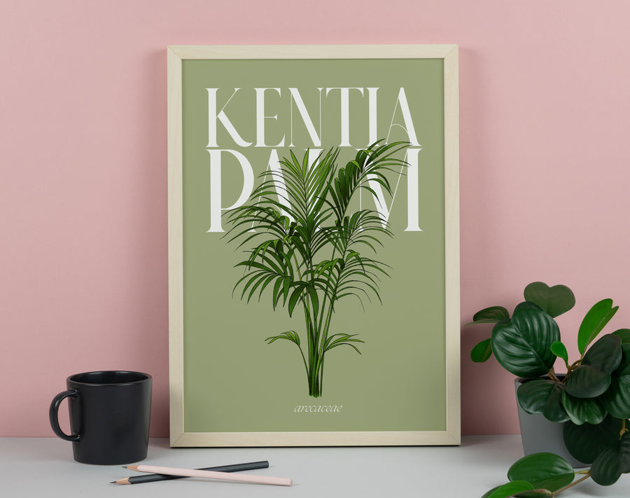 Kentia Palm Houseplant Art Print