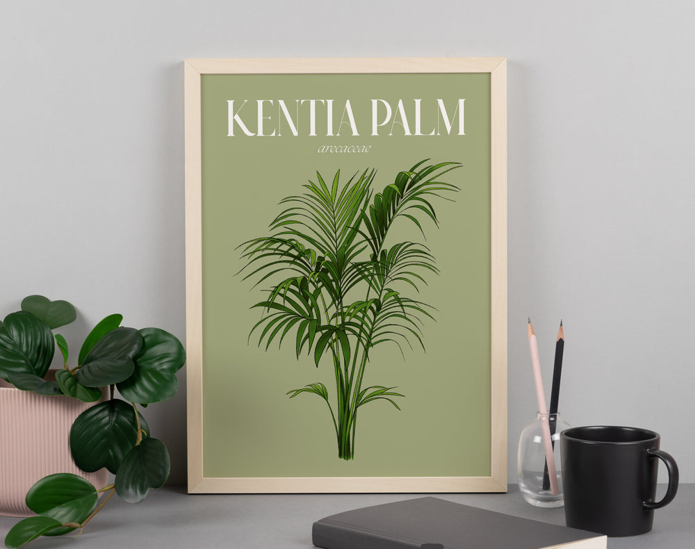 Kentia Palm Houseplant Art Print