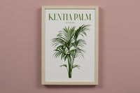 Kentia Palm Houseplant Art Print
