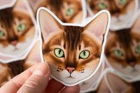 Bengal Cat Sticker