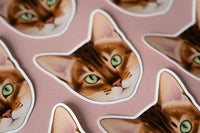 Bengal Cat Sticker