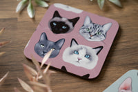 Cats Coaster