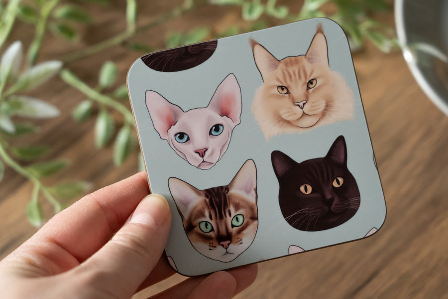 Cats Coaster Set