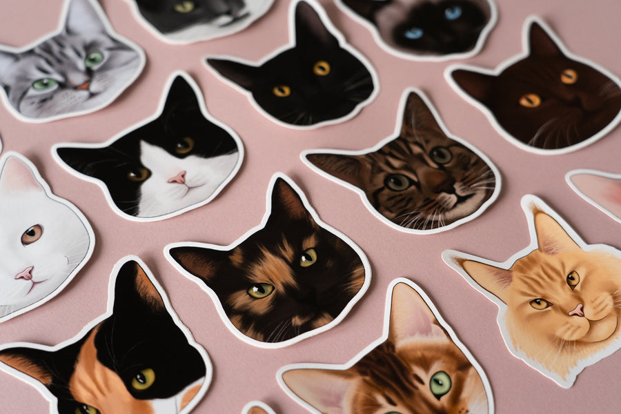 Maine Coon Cat Sticker