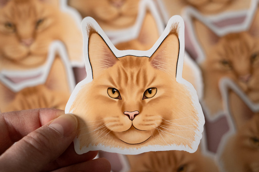 Maine Coon Cat Sticker