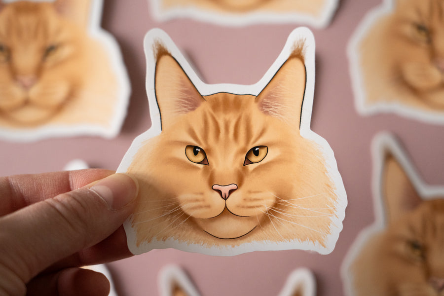 Maine Coon Cat Sticker