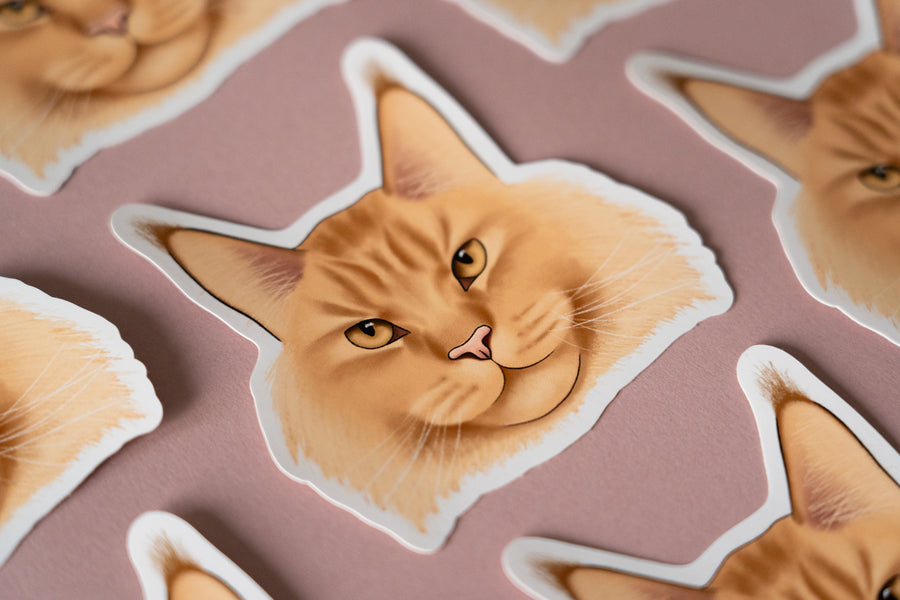 Maine Coon Cat Sticker