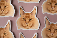 Maine Coon Cat Sticker