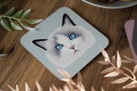 Ragdoll Cat Coaster