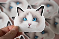 Ragdoll Cat Sticker