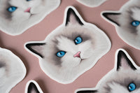 Ragdoll Cat Sticker