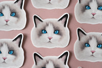 Ragdoll Cat Sticker