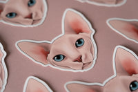 Sphynx Cat Sticker