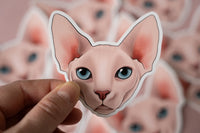 Sphynx Cat Sticker