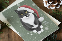Christmas Cat Cards Set of 6