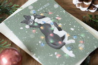 Christmas Cat Cards Set of 6