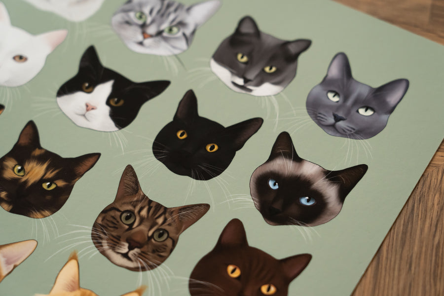 Types of Cats Art Print