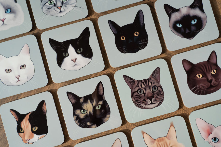 Cat Face Coasters - 16 cats to choose from!