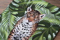 Jaguar and Leaves Art Print