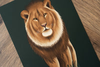 Lion Print