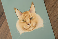 Maine Coon Cat Art Print