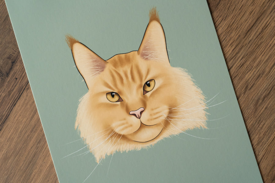 Maine Coon Cat Art Print