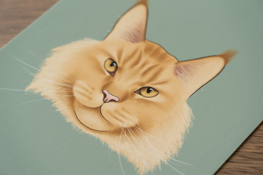Maine Coon Cat Art Print