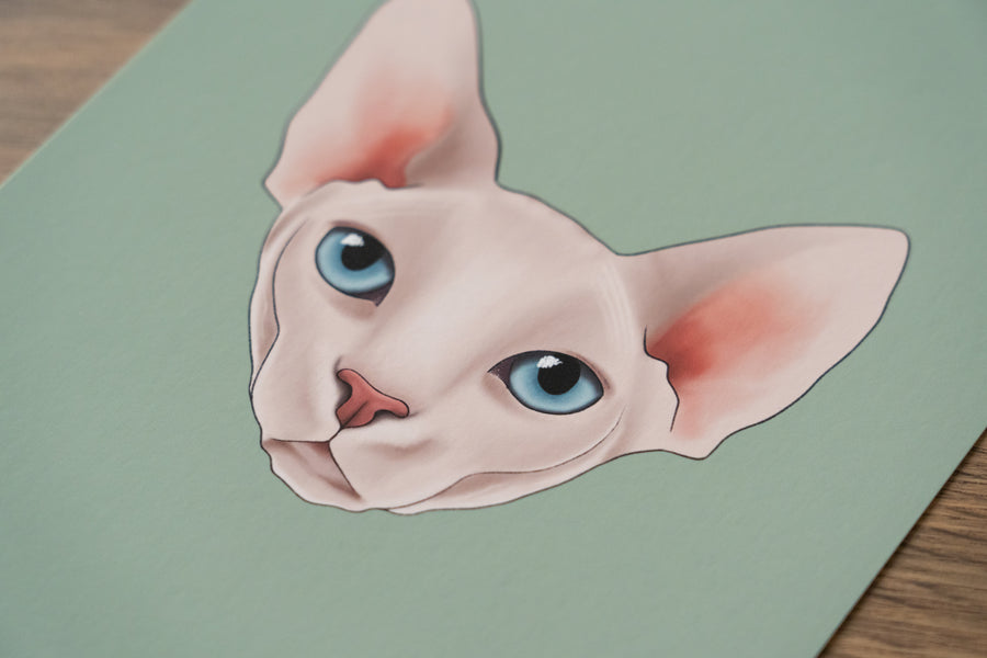 Sphynx Cat Art Print