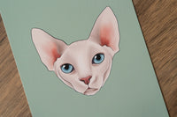 Sphynx Cat Art Print