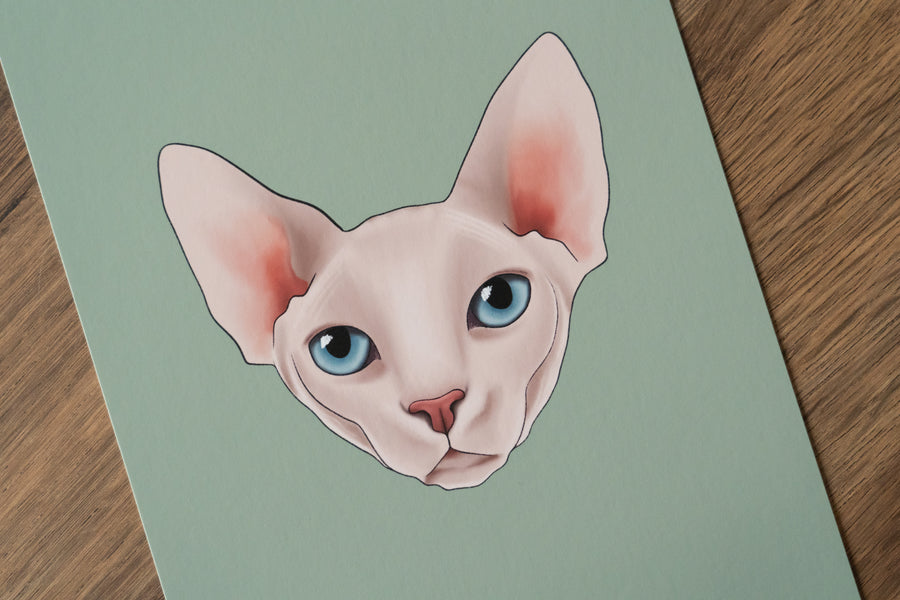 Sphynx Cat Art Print