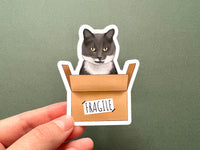 Cat in a Box Sticker