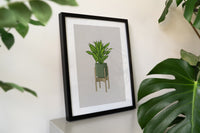 Lemon & Lime Dracaena Houseplant Print